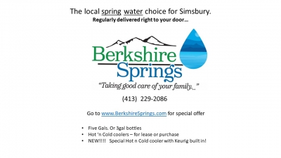 Berkshire Springs logo